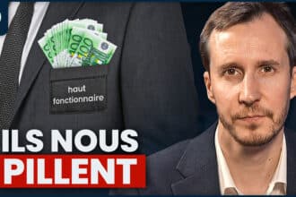 vote praxis pantouflage hauts fonctionnaires mafia d'Etat Caste