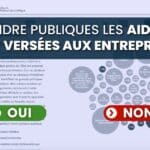 Aides publiques aux entreprises
