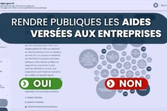 Aides publiques aux entreprises