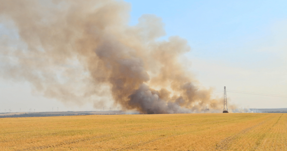 Souveraineté agricole : en finir avec l’incompétence au pouvoir et la collusion